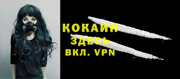 хмурый Алзамай
