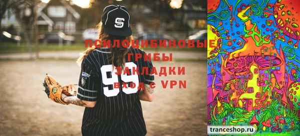 хмурый Алзамай