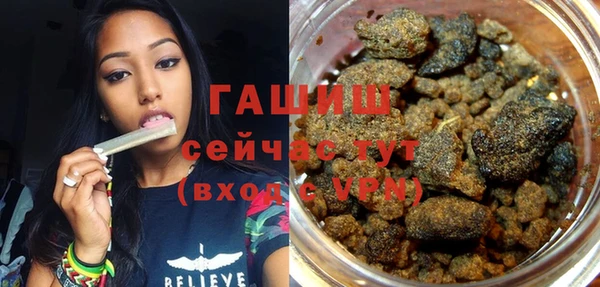 хмурый Алзамай