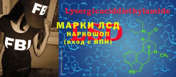 хмурый Алзамай