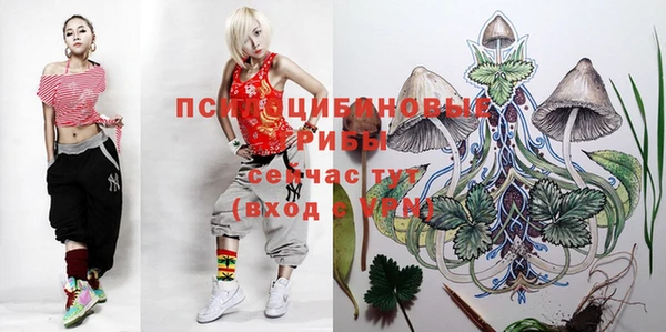 хмурый Алзамай