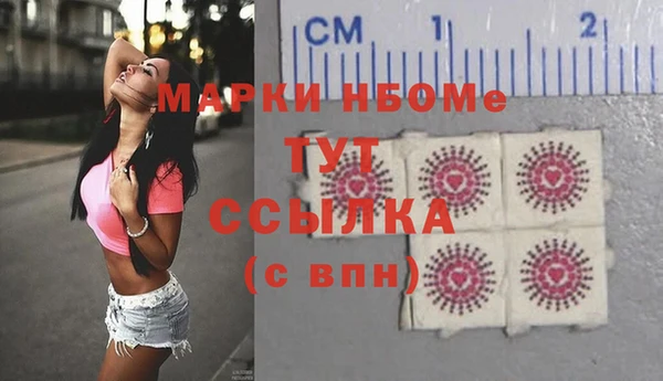 хмурый Алзамай