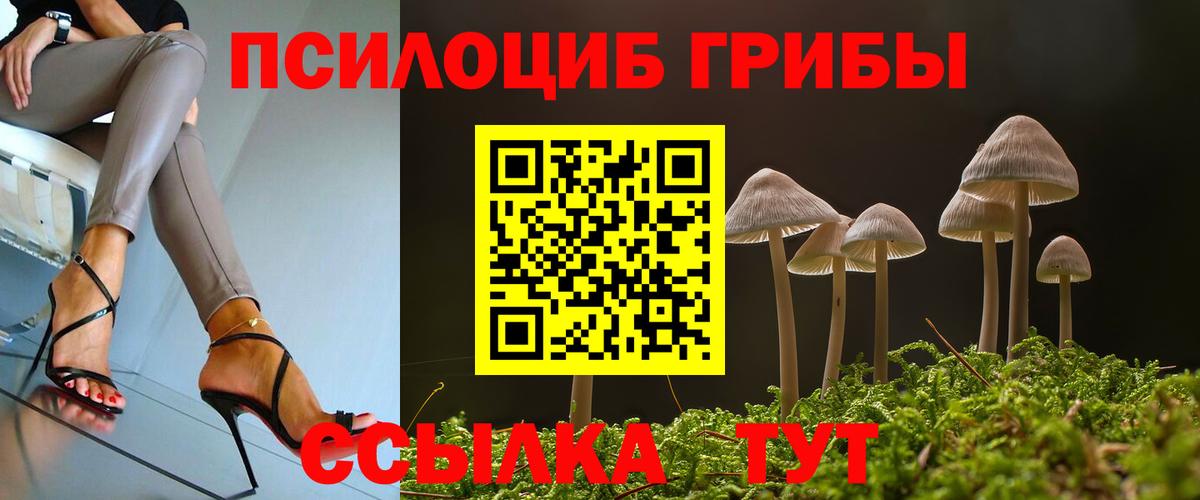 Кореновск  Галлюциногенные грибы Magic Shrooms  Вход с VPN 